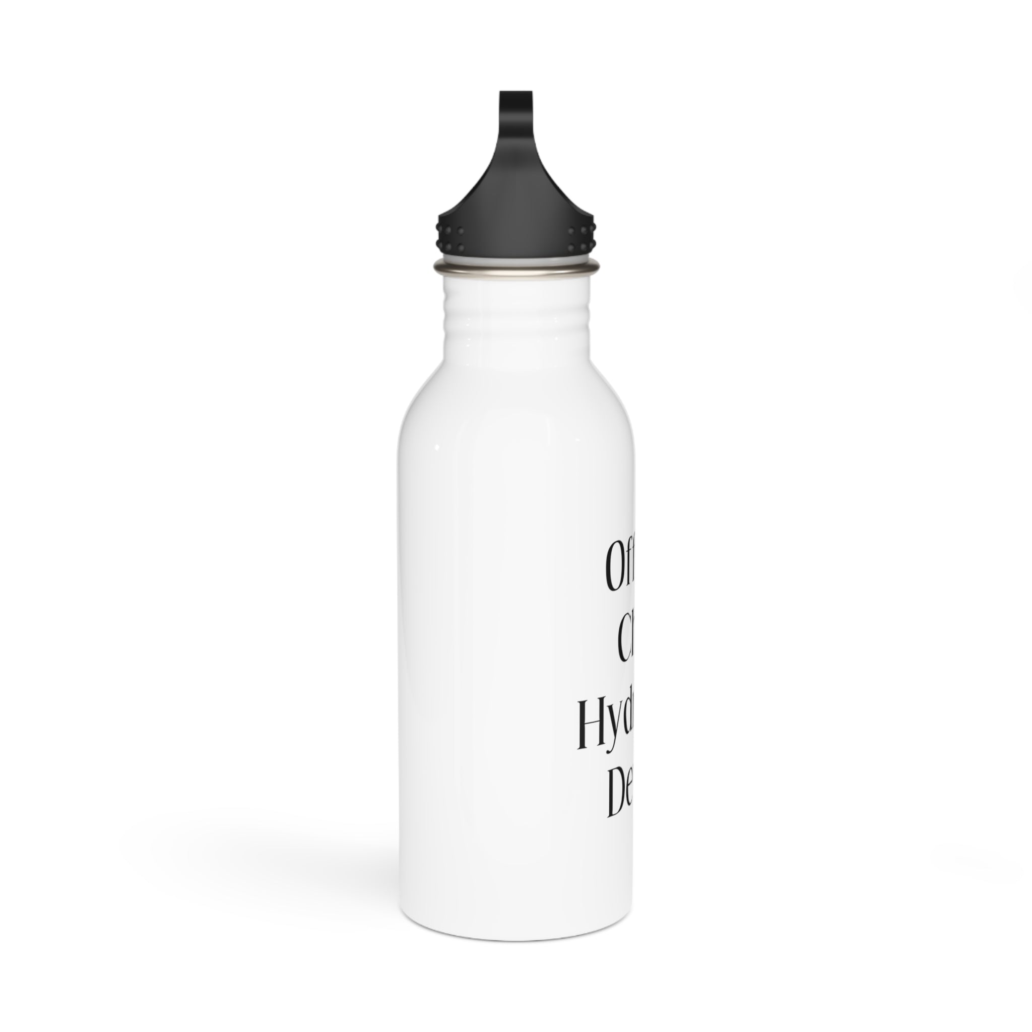 Stainless Steel Water Bottle